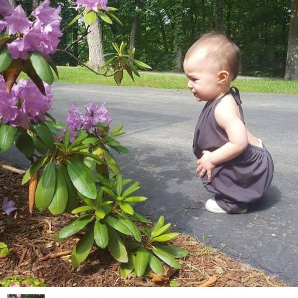 Meet your Posher, Sofie